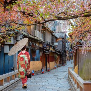 MOMIJI JAPONÉS